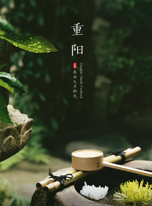 重阳节诗句有哪些（重阳节尊老敬老的名言佳句）