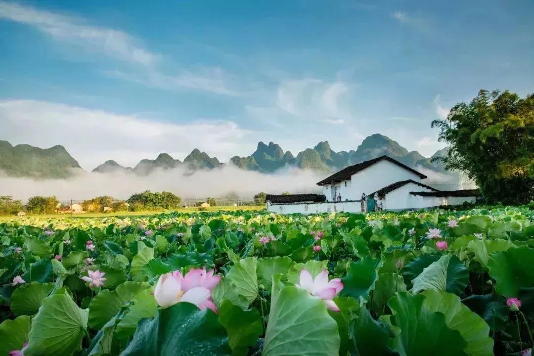 人生感悟日志岁月安好（感叹岁月匆匆的句子）