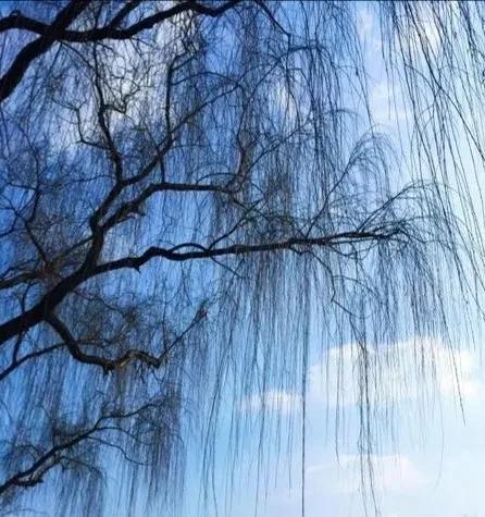年末的诗句古诗（形容岁末年终的诗句）