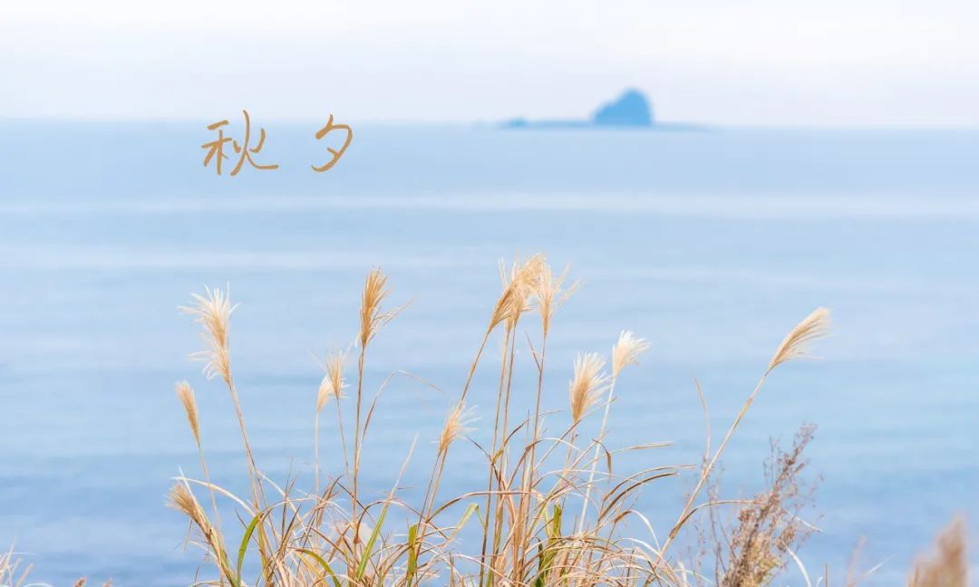 浪漫情诗短句子（表达浪漫爱情的诗句）