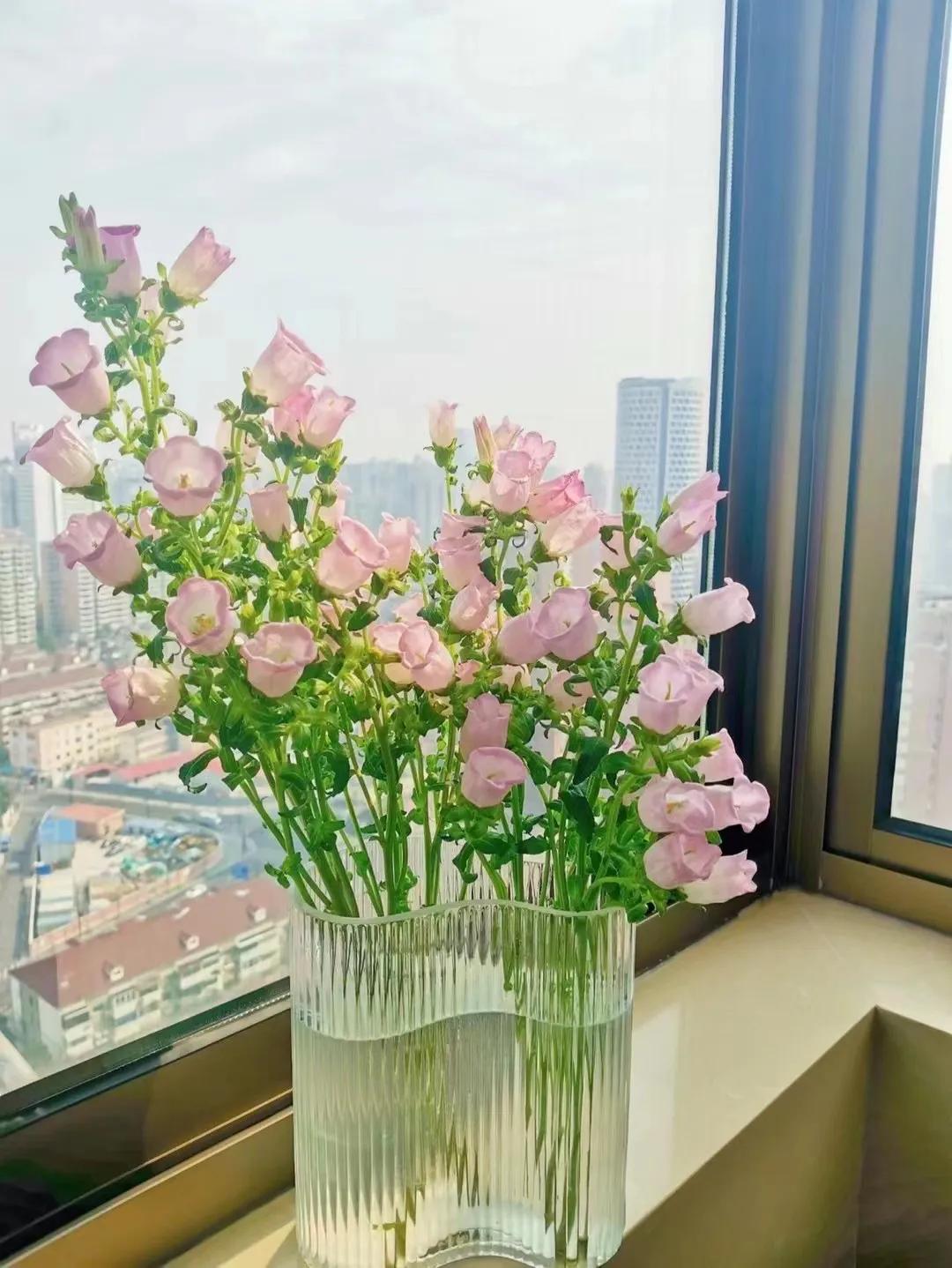 爱情的句子唯美短句（最能打动人心的情感话）