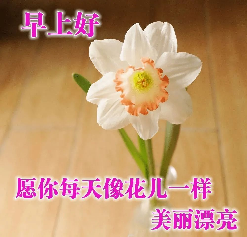 真心朋友简短暖心话（对最珍惜的朋友的话）