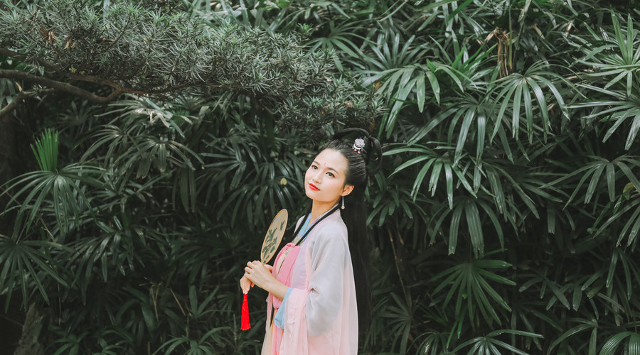 汉乐府的诗有哪些（汉乐府著名的诗词欣赏）