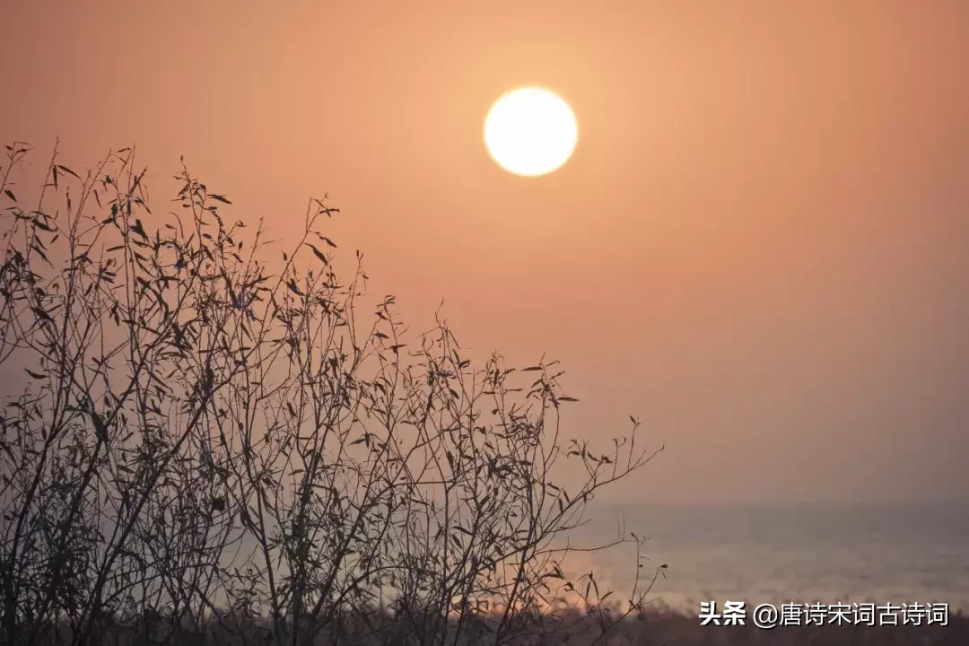 辛弃疾的词有哪一些（赞美辛弃疾的优美段落）