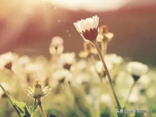 中考祝福语和鼓励的话（为中考加油的暖心句子）