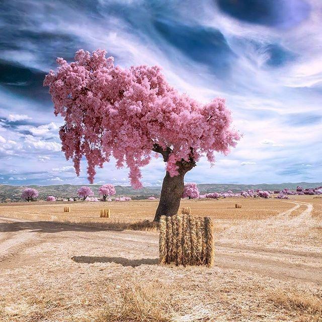 圣诞节祝福语短句（圣诞节语录短句简短）