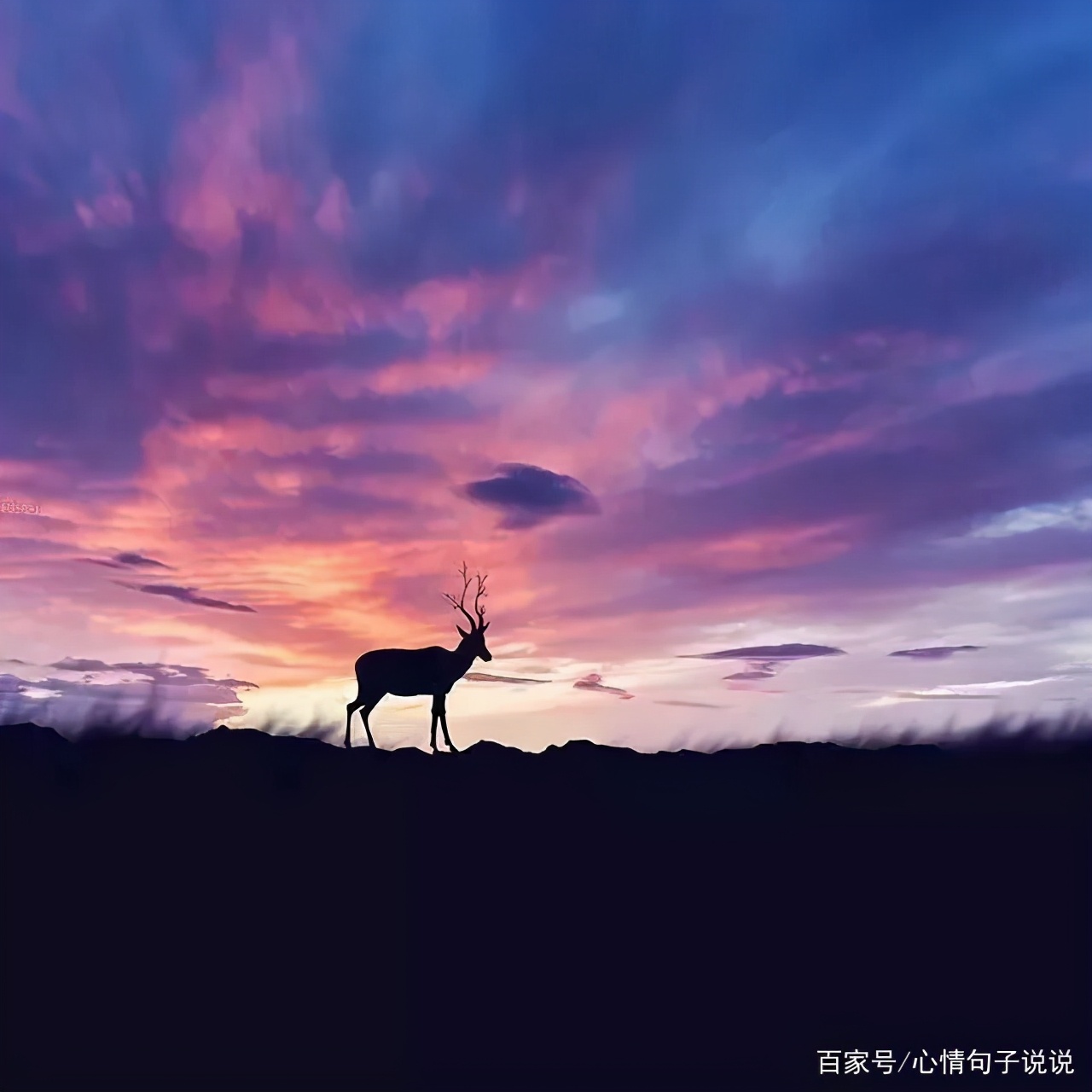 最励志的句子经典语句（励志的句子致自己奋斗）