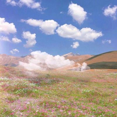 4个字的网名有诗意（描写友谊的优美句子简短）