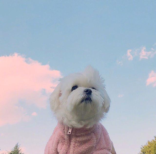 精辟的句子人生励志（最经典的人生感悟短句）