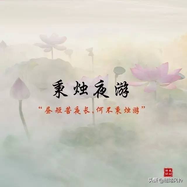 夸女孩子的四字词语（夸女生漂亮唯美成语）