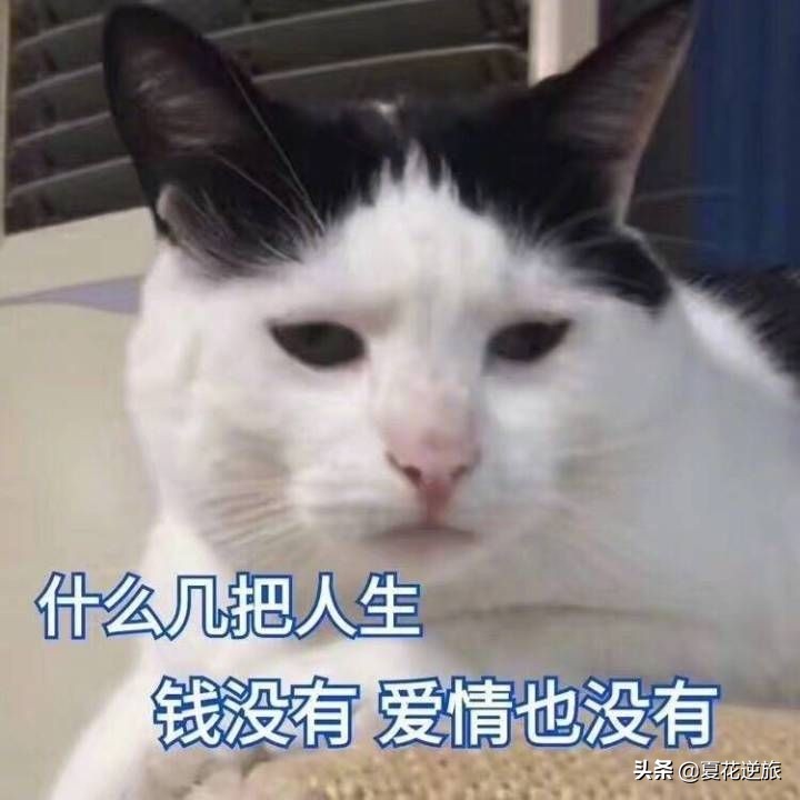 七夕幽默的句子（七夕情人节唯美句子）