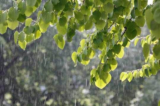 含雨的成语有哪些（带雨的成语大全四字成语）