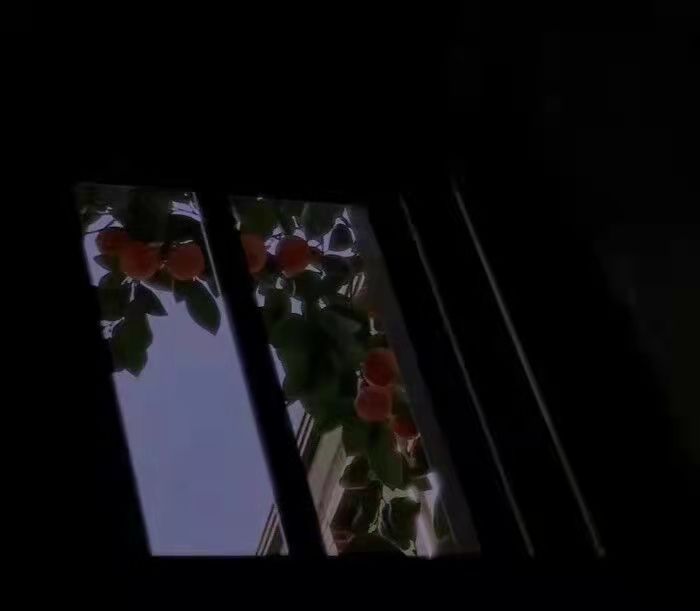 关于孤独的文案（孤独高级伤感文案）