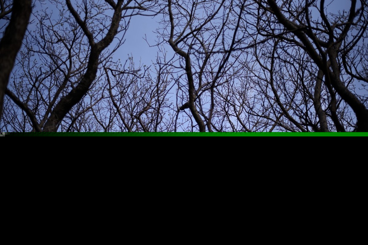 醉赠刘二十八使君（白居易古诗全诗赏析）