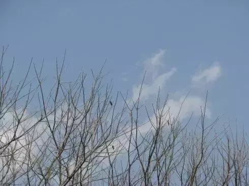 纳兰性德的词有什么（纳兰容若最有名的词欣赏）