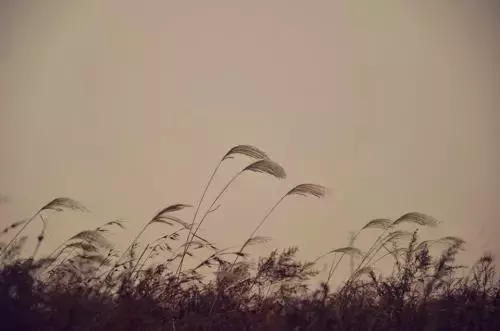 纳兰性德的词有什么（纳兰容若最有名的词欣赏）