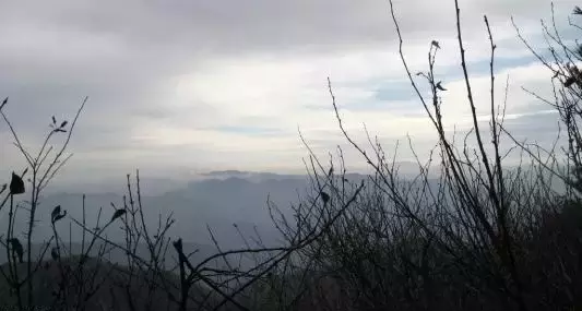 纳兰性德的词有什么（纳兰容若最有名的词欣赏）