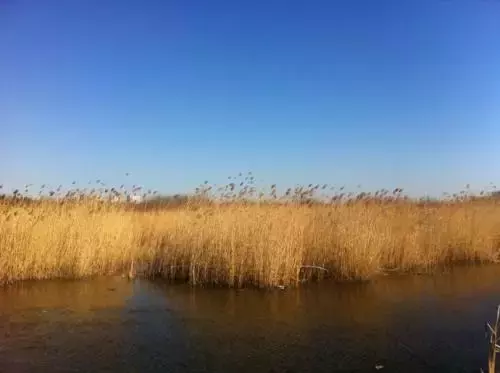 纳兰性德的词有什么（纳兰容若最有名的词欣赏）