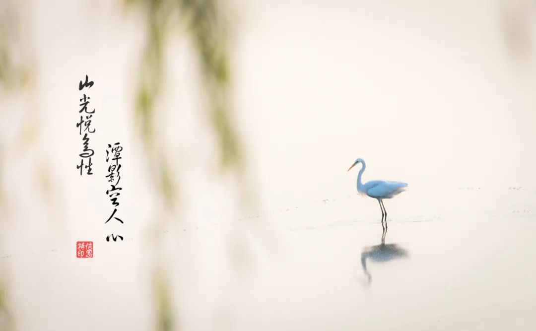 不如高卧且加餐全诗（酌酒与裴迪原文赏析）
