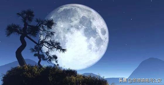 露从今夜白月是故乡明的意思（月夜忆舍弟全诗赏析）
