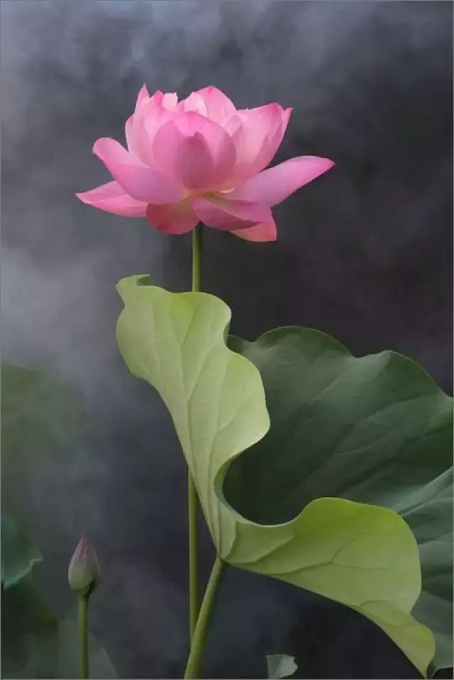形容夏至的优美诗词（关于夏天的古诗词名句）
