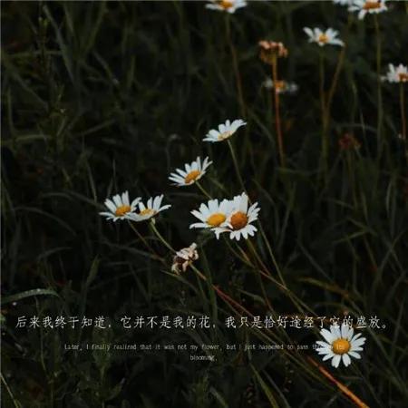 微信个性签名爱情（吸引人的微信签名短句）