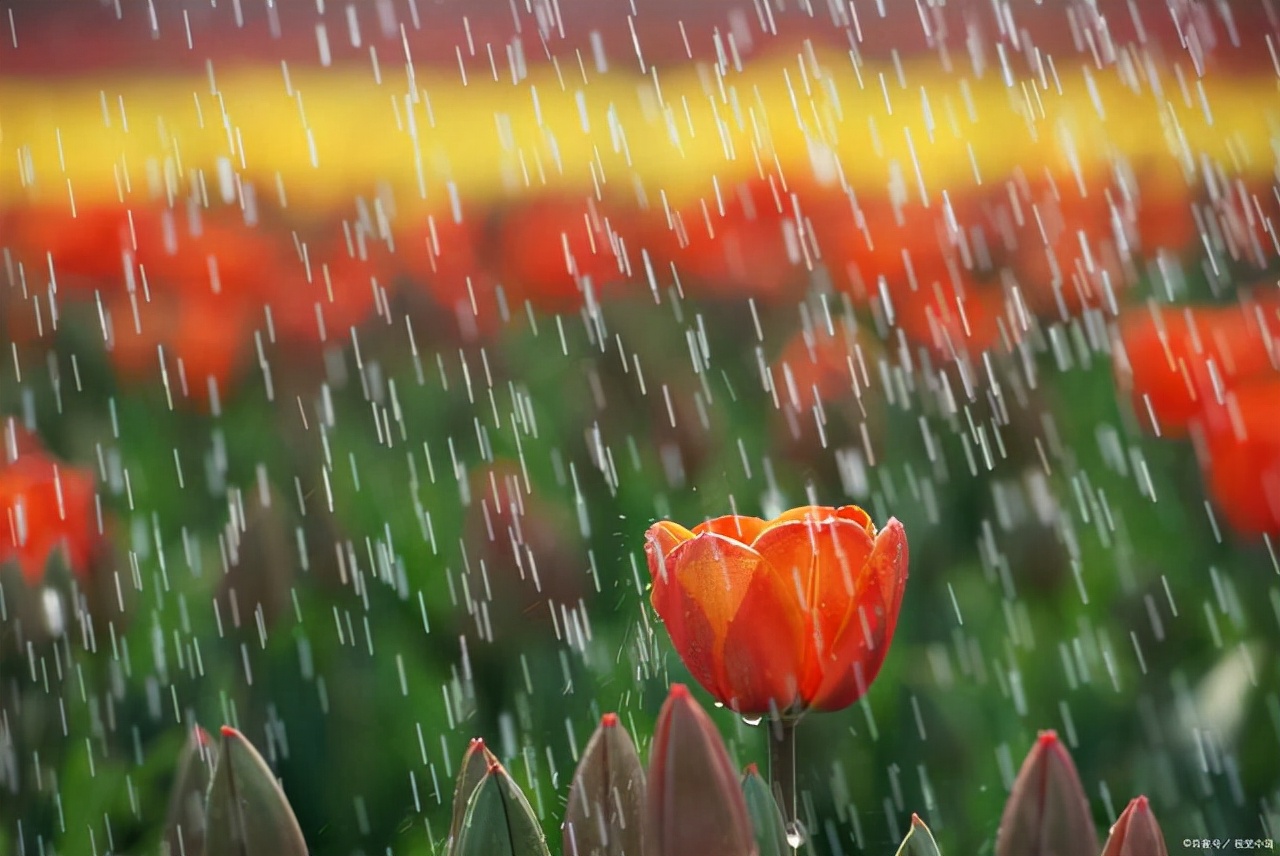下雨天的心情经典句子（一句简短的下雨句子）