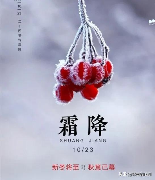 描写霜降的古诗精选（关于霜降的唯美诗句）