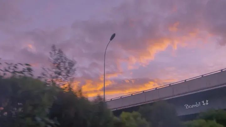 经典语句爱情伤感句子（情感语录爱情伤感大全）