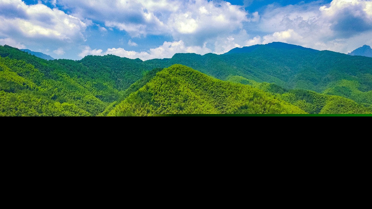 带绿的诗句有哪些（含有绿字的诗句）