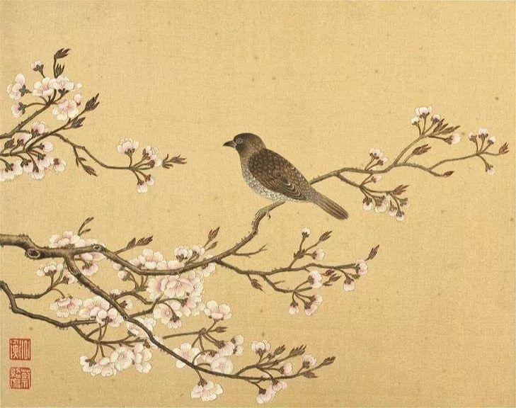 跟花有关的诗句有寓意（花的象征意义和诗句）