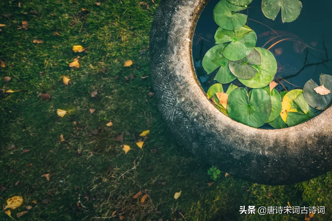 立夏的诗词有哪些（描写立夏的古诗名句）