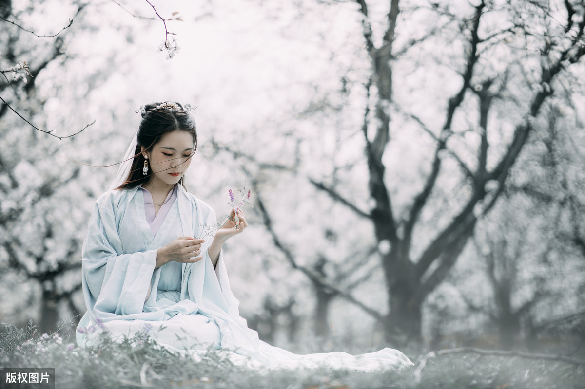 描写梨花的诗句有哪些（最经典的梨花诗词）