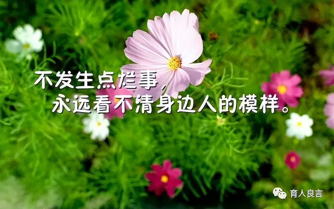 经典句子人生感悟（人生哲理感悟的句子）