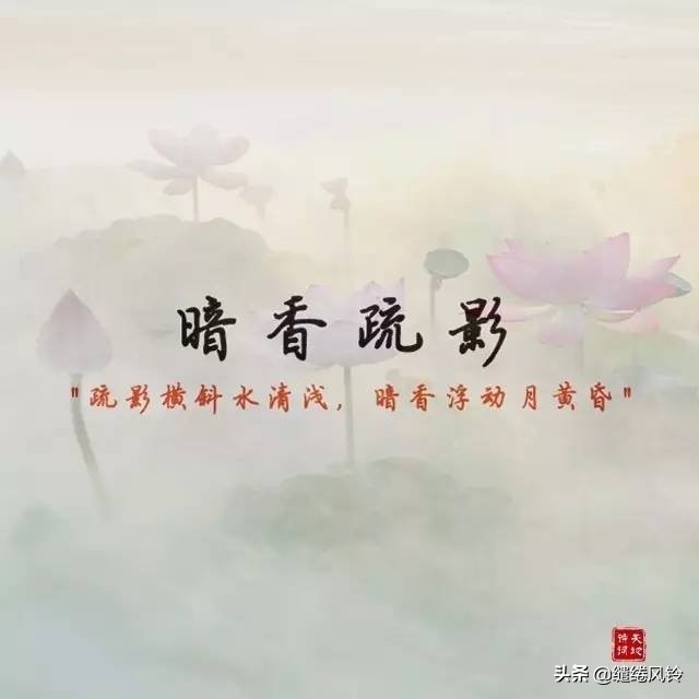 夸女孩子的四字词语（夸女生漂亮唯美成语）