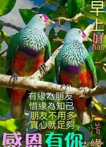 周末暖心的短句简短（美好的周末心情说说）