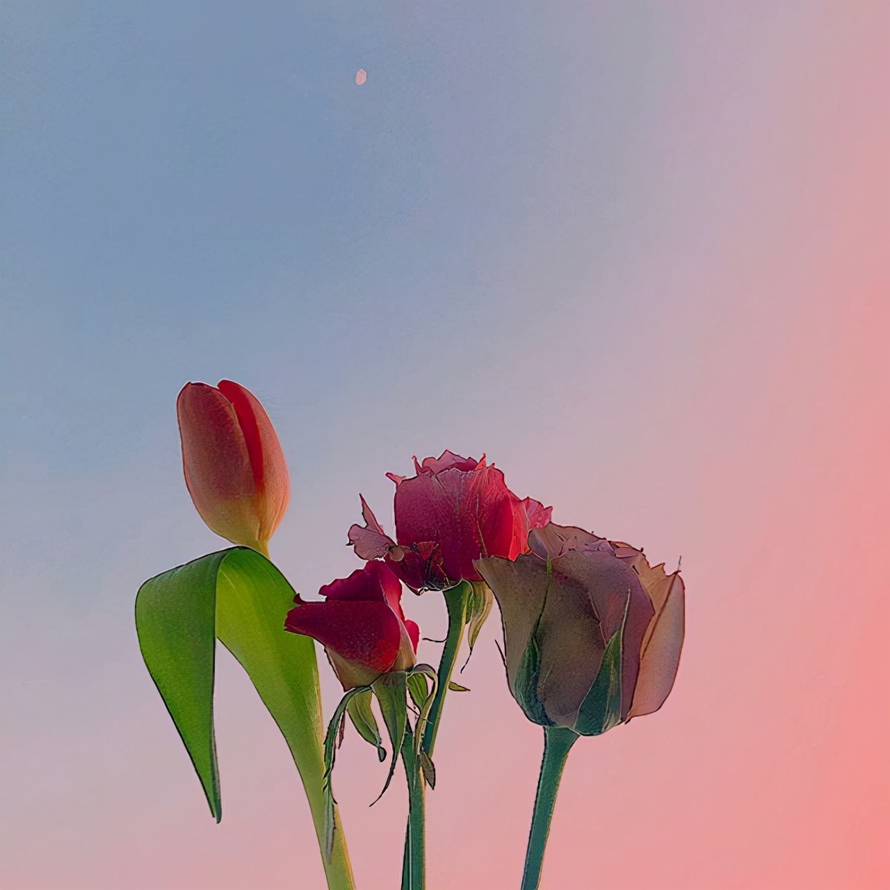 暖心的短句励志语录（激励暖心的句子唯美）