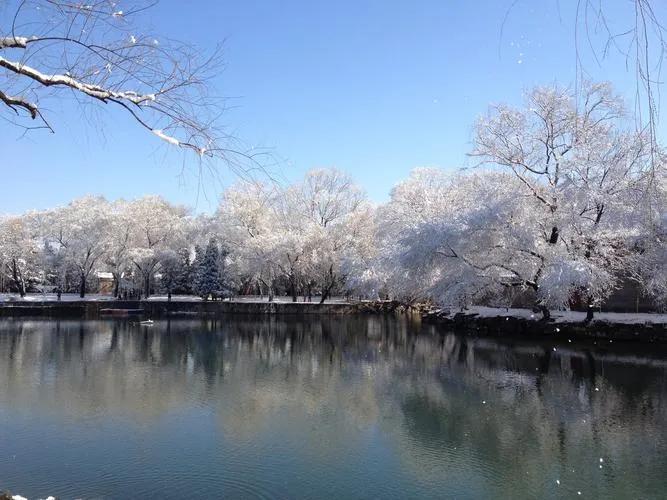 春雪古诗有哪些（春雪的唯美诗句鉴赏）