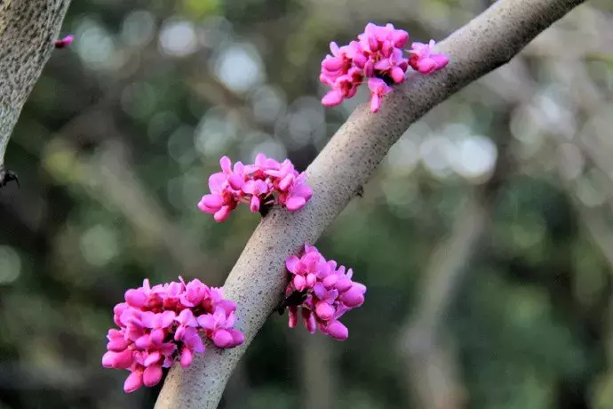 表达心情愉悦的古诗词（形容好心情的诗句分享）