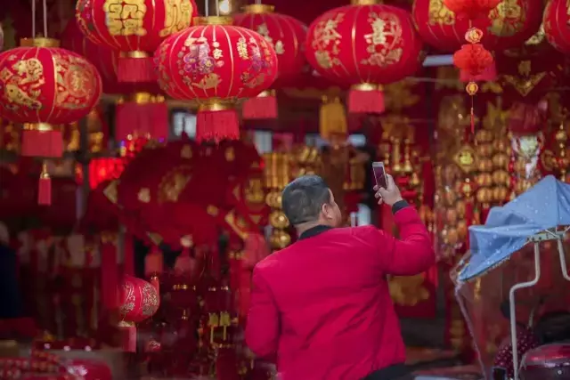 迎春诗句古诗大全（关于迎春的优美词句）