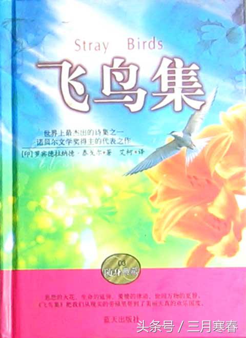 飞鸟集赏析（飞鸟集摘抄加赏析）