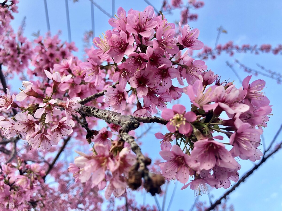 古诗词伤感唯美的句子（千古绝句最美励志古诗文）