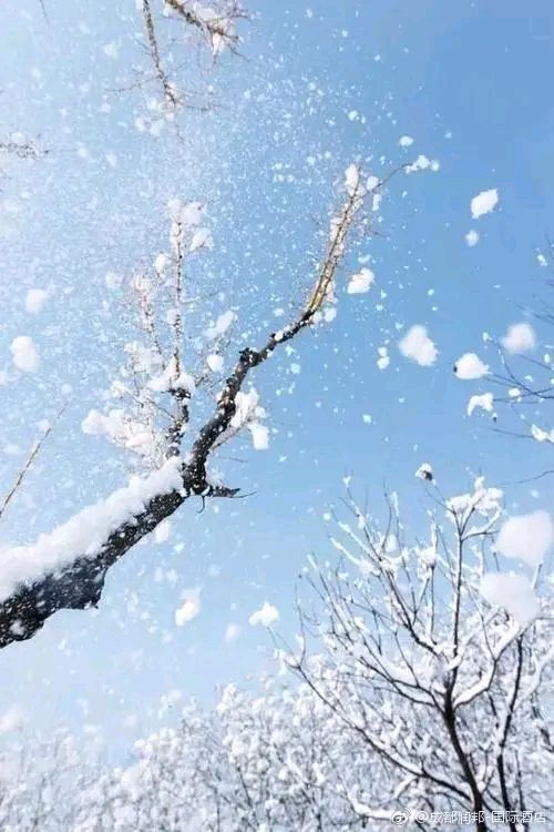 雪景散文诗怎么写（描写冬天景色的优美短句散文 ）
