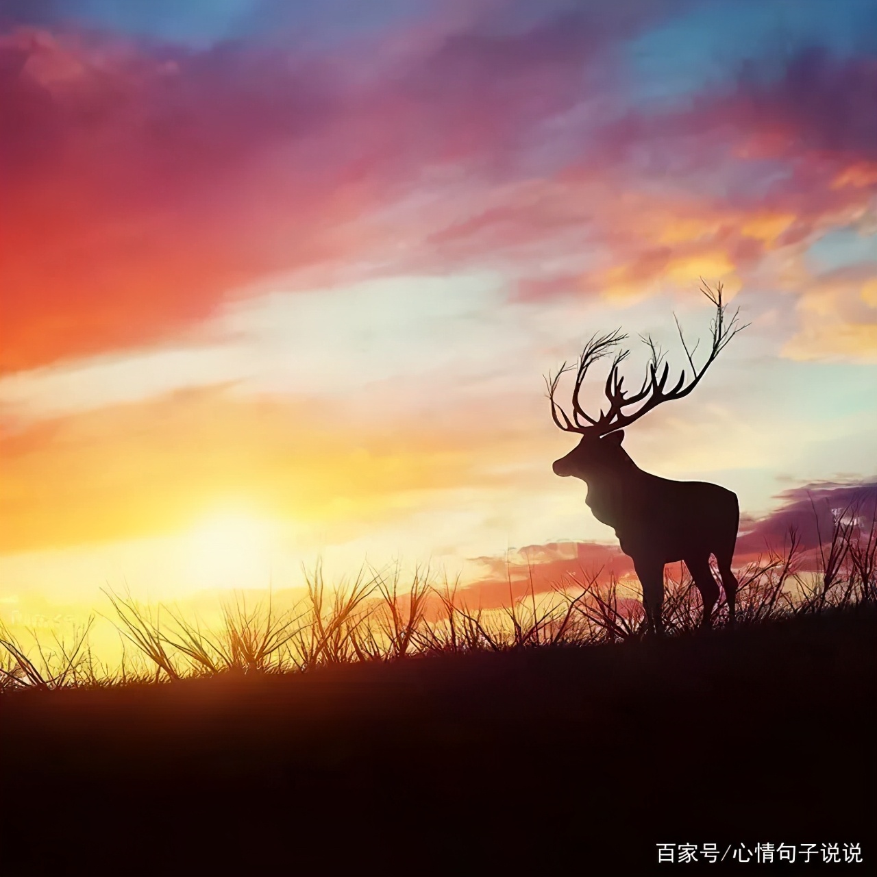 激励的话语句子经典（积极励志正能量的短句）