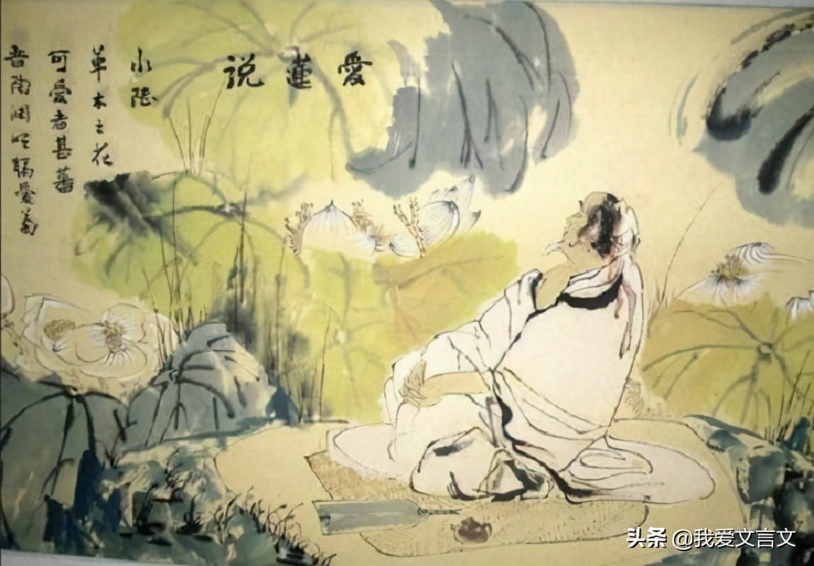 水陆草木之花出自哪里（爱莲说全诗赏析）
