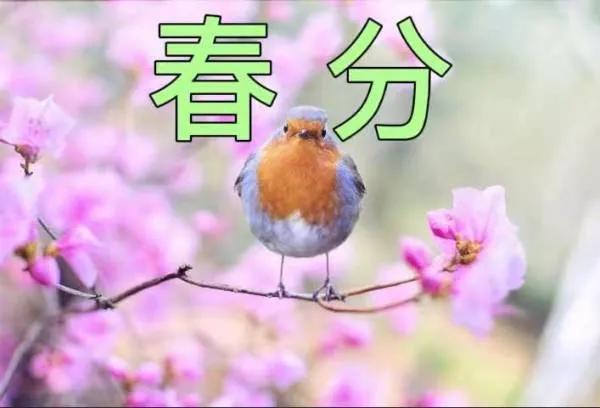 春分的美好寓意和象征（有关春分的寓意及内涵）