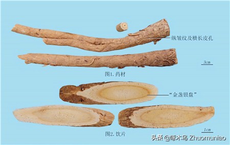 子罕言利与命与仁（子罕篇的中心思想）