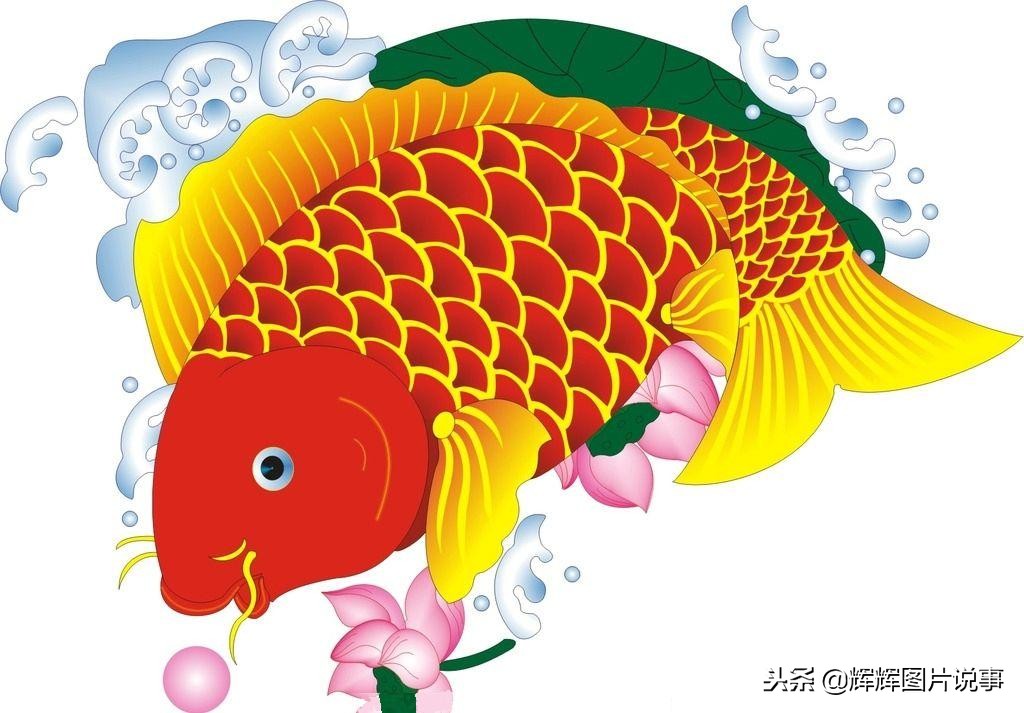 有关黄河的成语有哪些（形容描写黄河的四字成语）