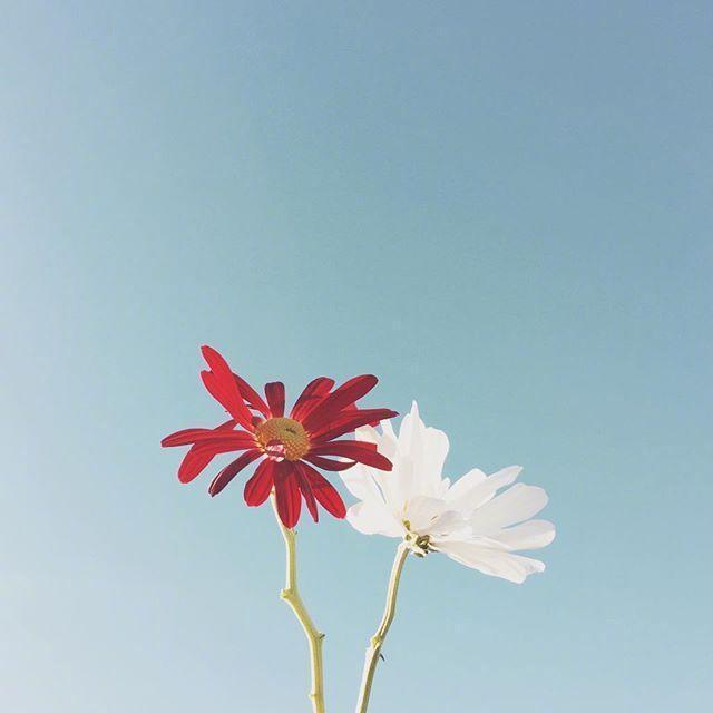 母亲节祝福语简短语句（写一句表达对妈妈爱的话）