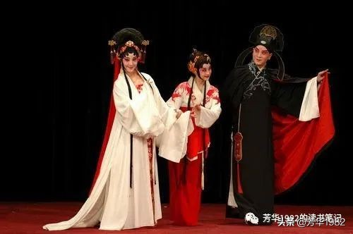 中国戏曲鉴赏论文（戏曲感悟100字）